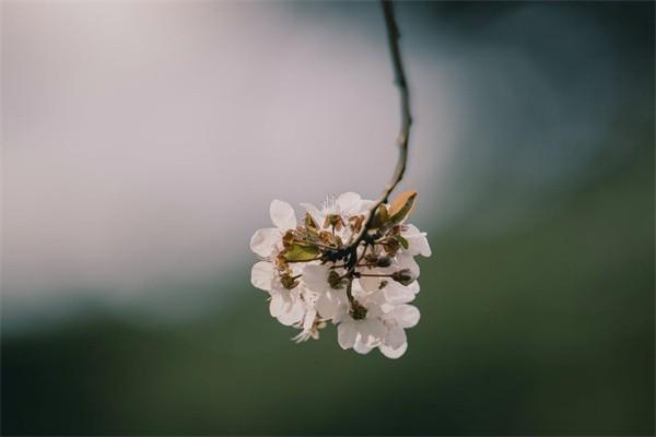 百万医疗靶向药报销吗