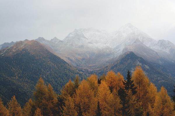 旅游意外险