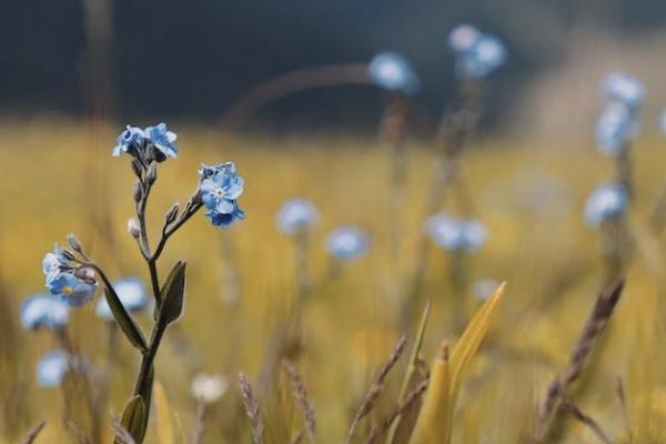 恒家保重疾险可以提供哪些保障？有哪些附加保障可以选择？