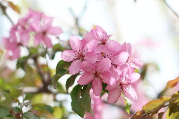 意外险投保年龄最大几岁？一年多少钱？