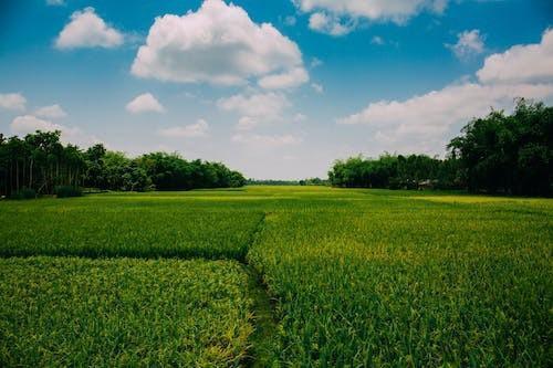 太平洋保险公司有哪些险种，长清太平洋保险公司在什么地方