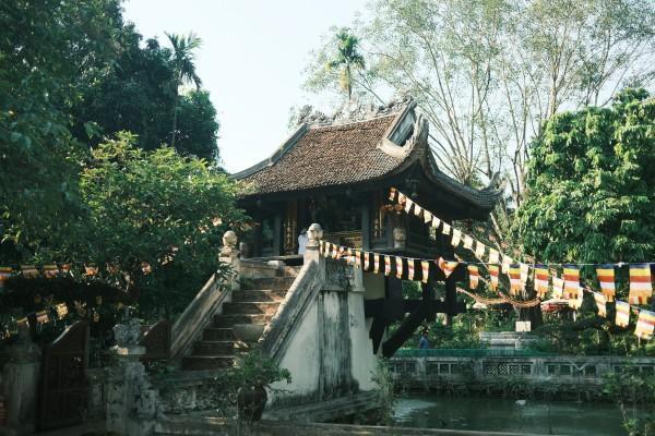 太平保险意健险怎么买，样