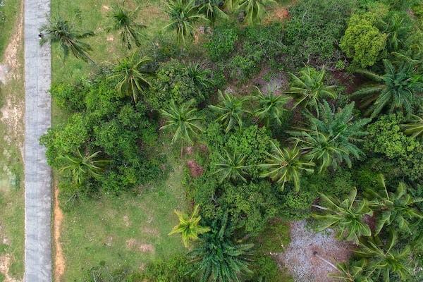 太平洋退保在哪个柜台都可以吗