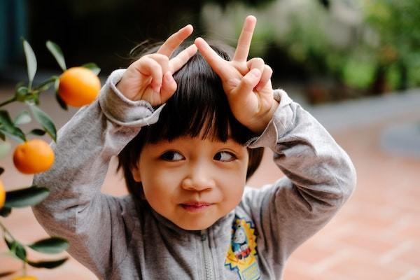 买保险选什么险种好，在银行买还是在保险公司买好