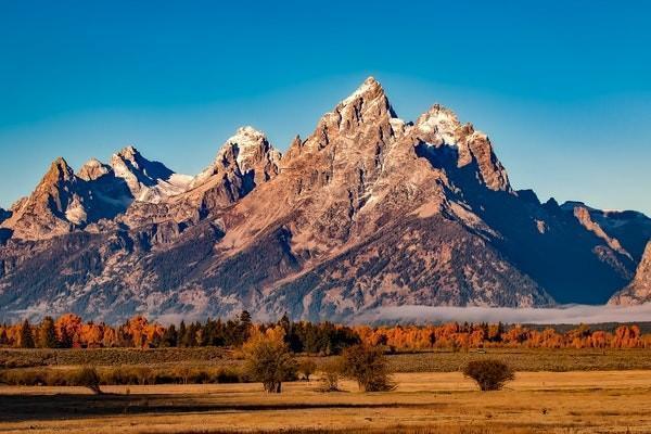 太平洋金享人生终身寿险分红型退保有哪些流程，划算吗