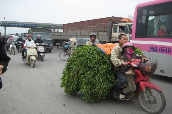 人保汽车意外险怎么买，多少钱