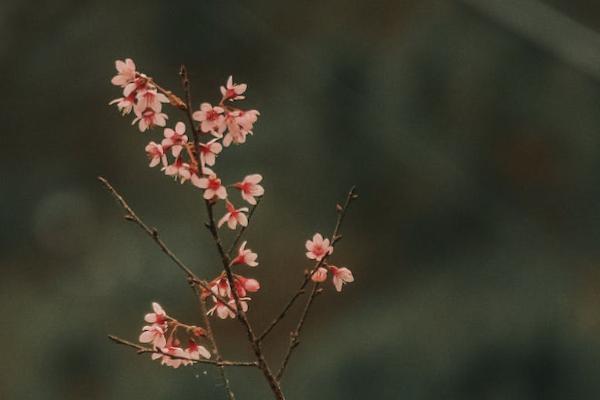 投保综合意外险怎么报销，要注意什么