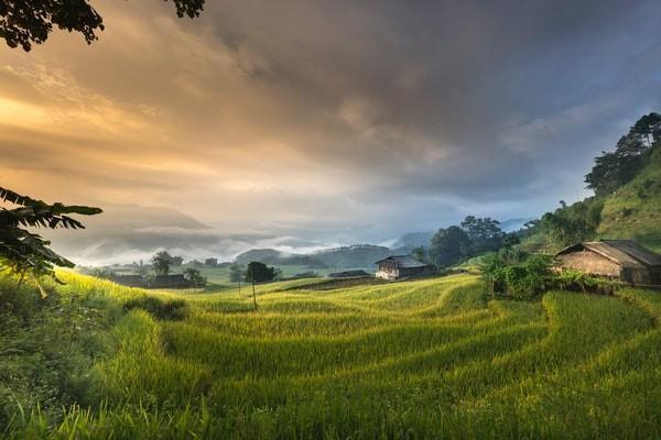 太平宝宝卡保险怎么样，在哪里查询