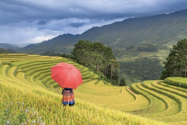 无锡补充医疗保险怎么用，报销范围是多少