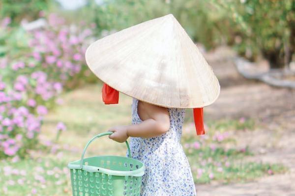 犹豫期退保的两种情况