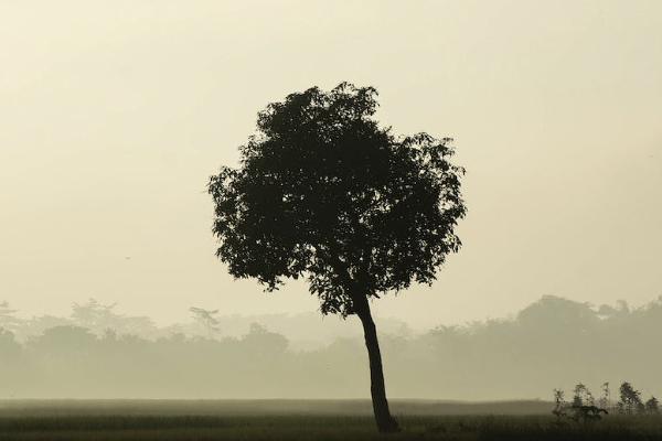 上海医疗保险转移到外地流程是什么，能转移吗