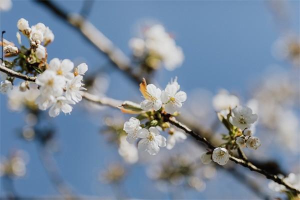 众安保险退保需要哪些材料，怎么退保退款