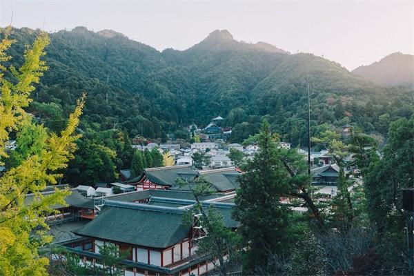 保单合同找不到了怎么退，可以退保吗