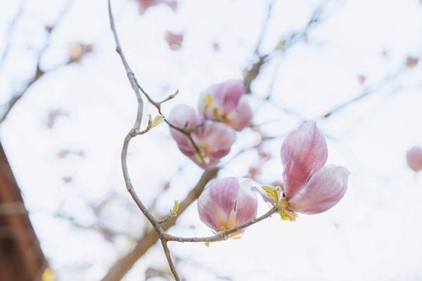 重疾险保一年和保终身的区别是什么，买一年还是终身好