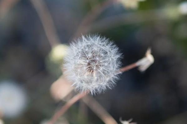 太平洋医疗保险一年交多少钱