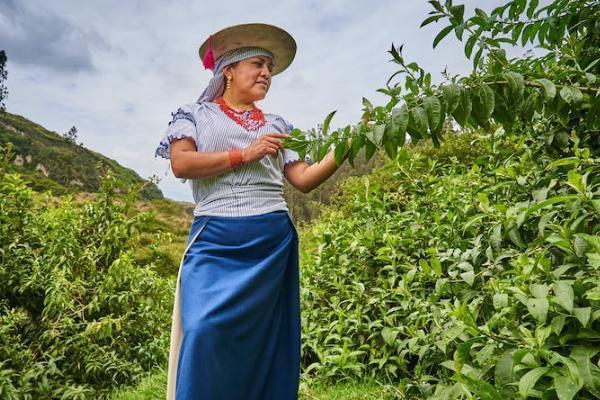 企业年金怎么缴费，是五险二金吗