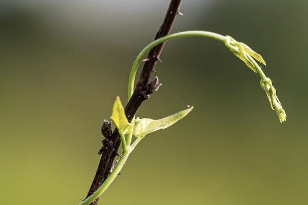 人保商业险3000怎么退，能退多少钱