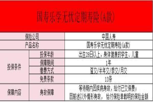 国寿乐学无忧定期寿险A款是什么险种