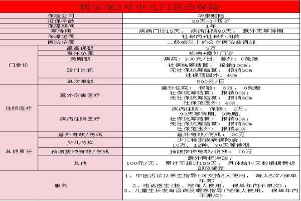 华泰保险暖宝保