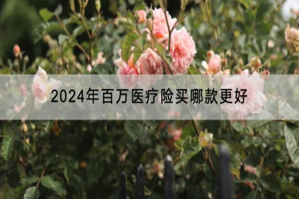 2024年百万医疗险买哪款更好