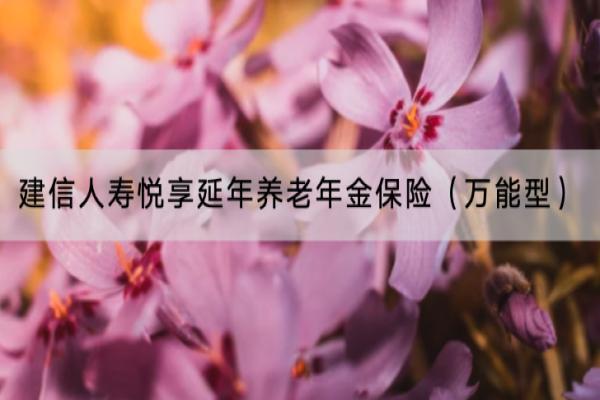 建信人寿悦享延年养老年金保险（万能型）