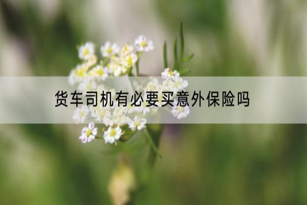 货车司机有必要买意外保险吗