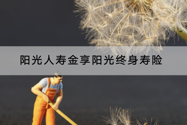 阳光人寿金享阳光终身寿险有什么投保要求？保障了哪些内容？