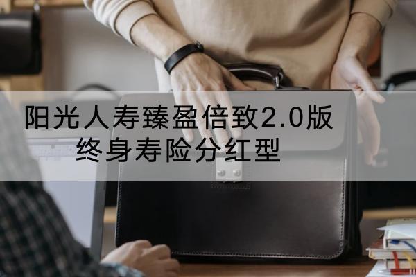 阳光人寿臻盈倍致2.0版终身寿险分红型